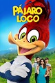 El pájaro loco: La película (2017) — The Movie Database (TMDB)