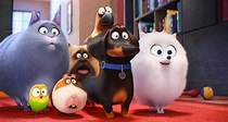 La Vida Secreta de Tus Mascotas 2 se Estrena en 2018 • Cinergetica