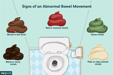 What It Means To Have A Normal Bowel Movement