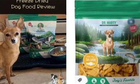 These show some interesting changes in the bacteria. Dr. Marty's Nature's Blend Reviews | Mini Goldendoodle