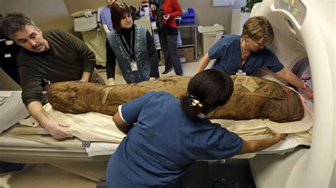 4 000 year old mummy gets 3d scan cbc news egyptian mummies science and nature ct scan