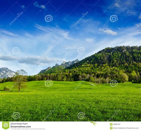 Alpine Meadow In Bavaria Germany Stock Photo Image Of Mountain