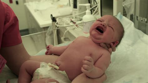 Crying Newborn At Hospital Stock Footage Sbv Storyblocks