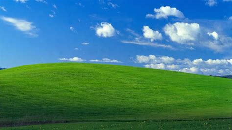 Iconic Windows Xp Background Is Photo Of Sonoma County Hillside Abc7