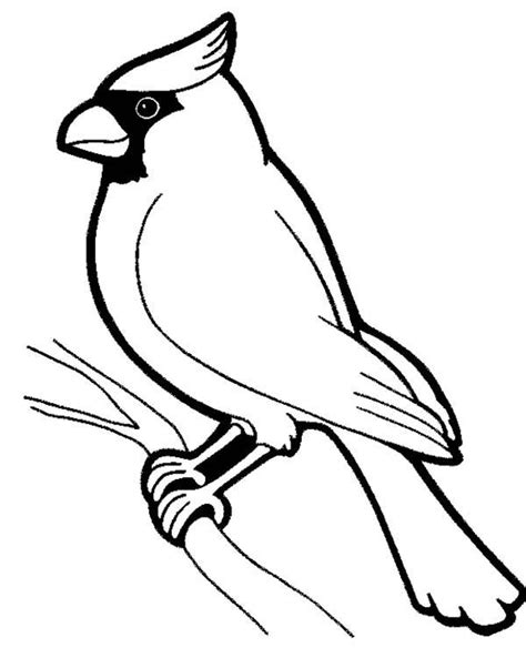 Cardinal Coloring Page Bird Outline Bird Coloring Pages