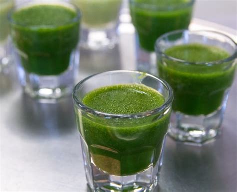 50 Benefits Of Wheatgrass Dr Approved Reasons To Drink Daily