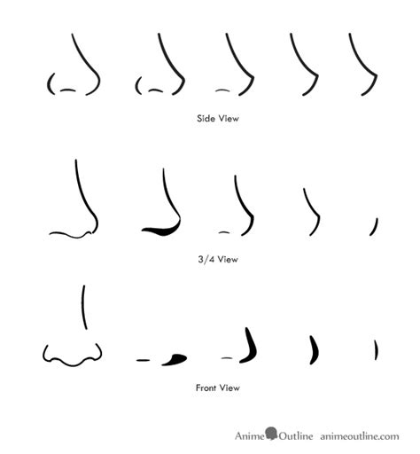 How To Draw Anime And Manga Noses Anime Outline