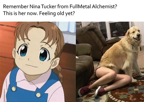 They Grow Up So Fast Animemes