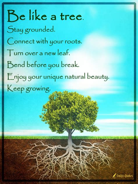 Tree Of Life Quotes Inspiration
