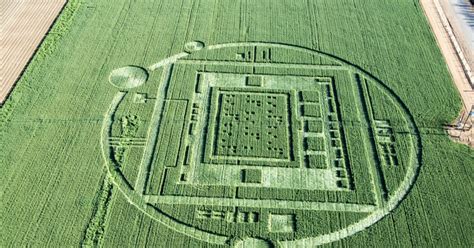 Mysterious Calif Crop Circle Plowed Over