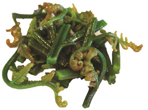 Local Foods Hawai‘i Island Hō‘i‘o Fiddlehead Fern