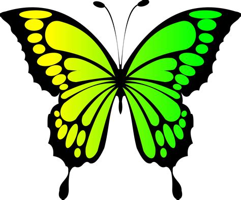 Free Photo Green Butterflies Animal Butterfly Fly Free Download
