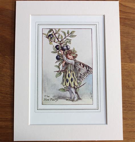 Genuine 1920s Sloe Flower Fairy Plate Cicely Mary Barker Etsy