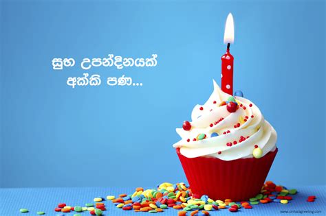 Sinhala Happy Birthday Akki Wishing Happy Birthday To Sister Happy