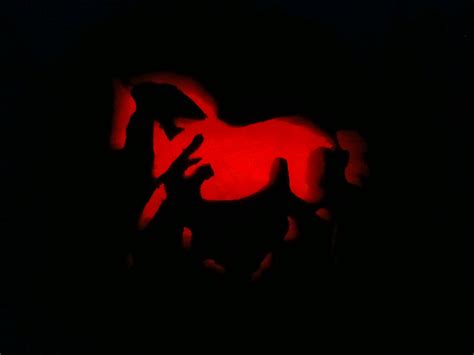 Horse Jack O Lantern Halloween Jack O Lantern Halloween Pumpkin