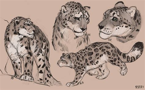 Snow Leopard Sketches By Alexpahomov On Deviantart
