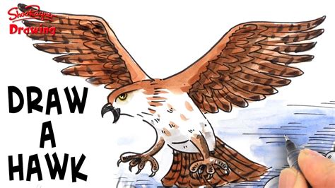 1024x640 if attack on titan was dogs anime amino. How to Draw an Attacking Hawk - YouTube