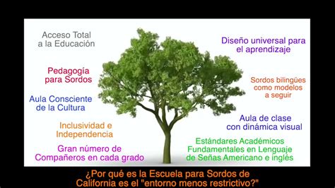 Growing Tree 4 1 Spanish Youtube