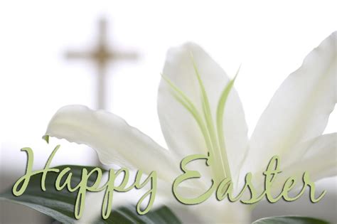 Take A Look At The Risen Savior Easter Message Grant E Free Church