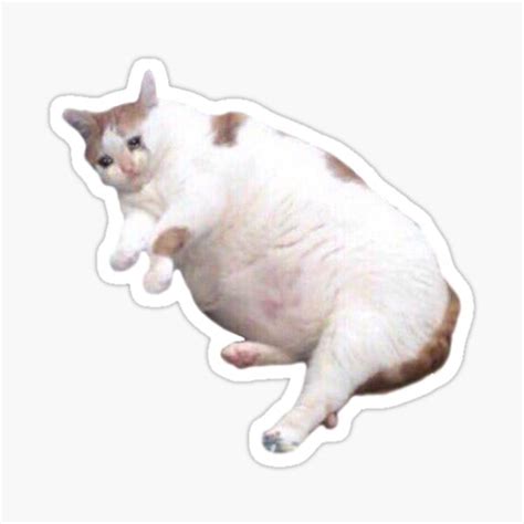 Fat Crying Cat Sticker For Sale By Spartian Redbubble