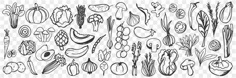 Premium Vector Vegetables Doodle Set