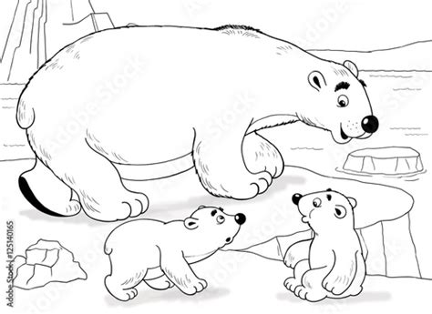 At The Zoo Arctic Animals A Cute White Mother Bear And