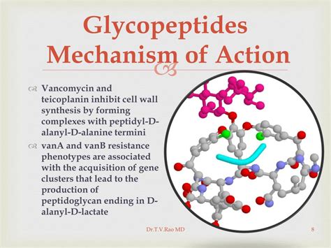 Other antibacterial agents by 1960 • mechanism of action for lactamases is identical to the. PPT - VANCOMYCIN RESISTANT ENTEROCOCCI PowerPoint ...