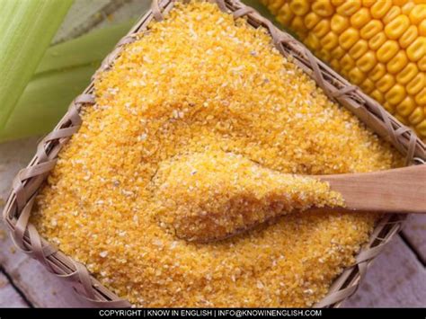 What Is Cornmeal Know In English Plants