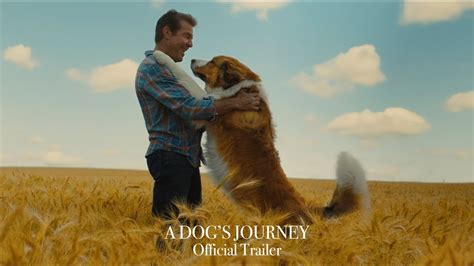 Simply follow the instruction stated below. Download A Dog's Journey (2019) Subtitles Subtitles In ...