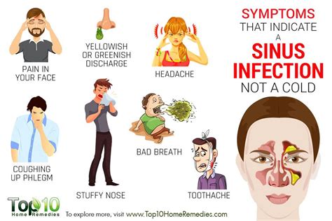 Symptoms That Indicate A Sinus Infection Not A Cold Top 10 Home