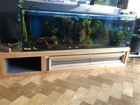 200 Litre Aquarium 5 Foot 153cm Long In Duddingston Edinburgh