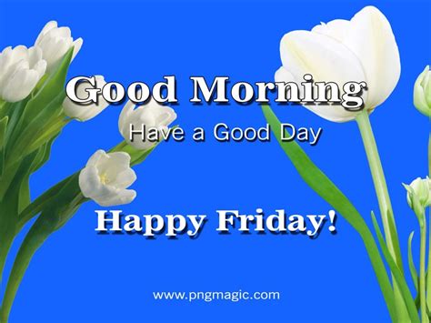 Good Morning Friday 1000 Free Download Vector Image Png Psd Files