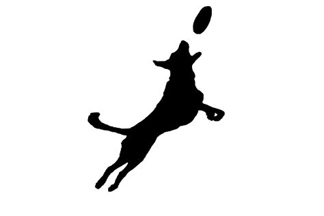 Frisbee Silhouette At Getdrawings Free Download