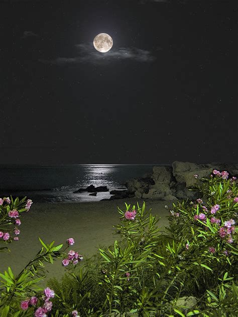 Moonlight Beach 1 033 Img 0389 7s The Beach At Night In Flickr