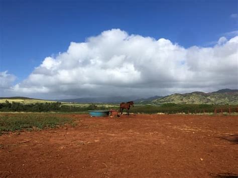 When Is The Best Time Of Year To Visit Kauai Kauai Hawaii