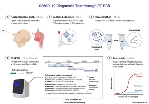 A throat and nasal swab taken by a doctor forms the basis of the. (PDF) COVID-19 Diagnostic Test through RT-PCR