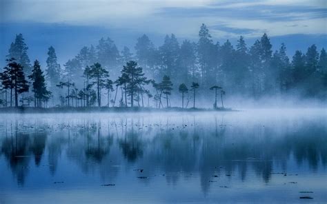 Landscape Nature Lake Mist Trees Sunrise Water Finland Wallpaper