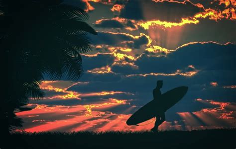Free Photo Surfer And Surfboard At Sunset Active Sea Strips Free