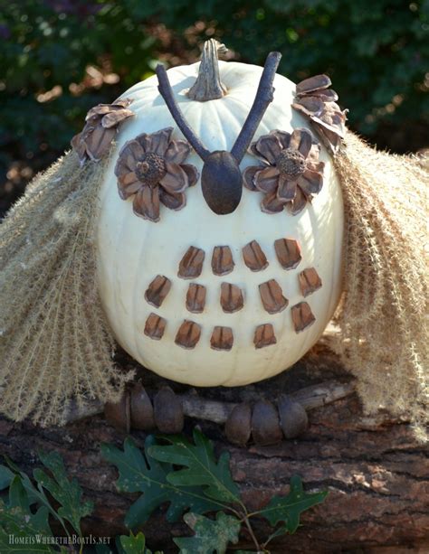 What A Hoot No Carve Pumpkin Owls Home Is Where The