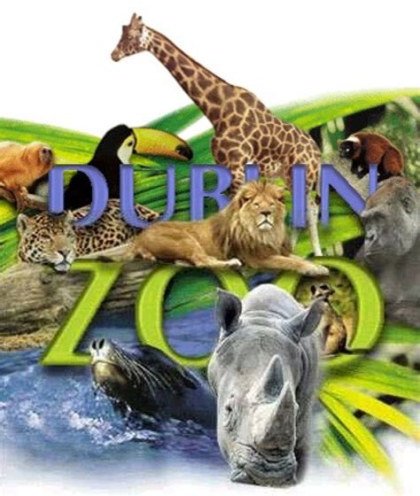 Dublinzoo Dublinzooie Dublin Zoo Dublin Attractions