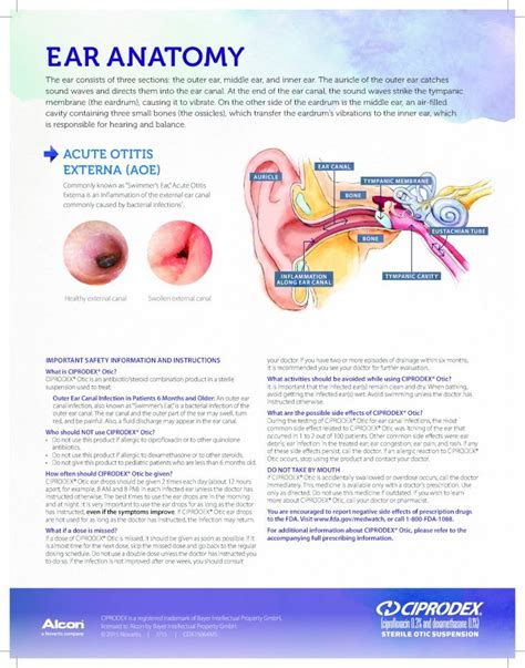 Pdf Ear Anatomy · Commonly Known As “swimmers Ear” Acute Otitis