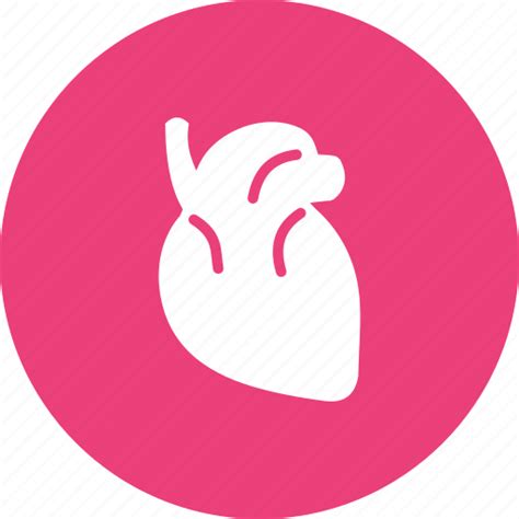 Blood Body Heart Human Medical Muscle Organ Icon