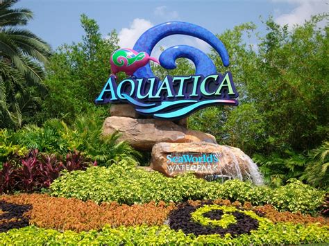 Aquatica Seaworlds Waterpark Orlando Limo Ride Blog
