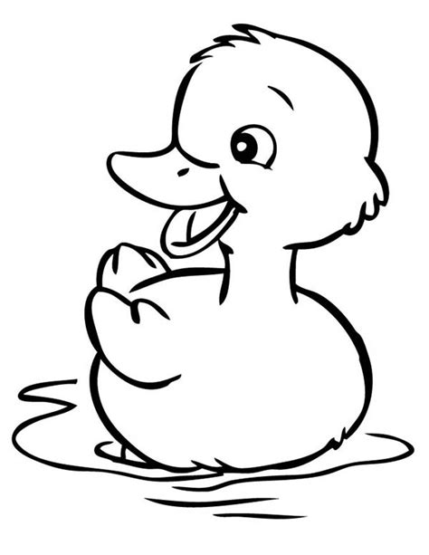 Baby Ducklings Drawing Clipart Best