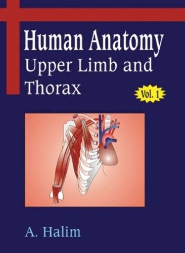 Upper Limb And Thorax V 1 Human Anatomy