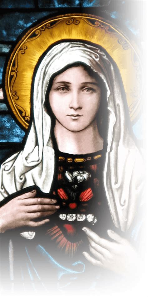 Immaculate Heart Of Mary Png