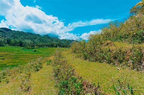 5 Reasons Why You Need To Visit Cadapdapan Rice Terraces In Bohol