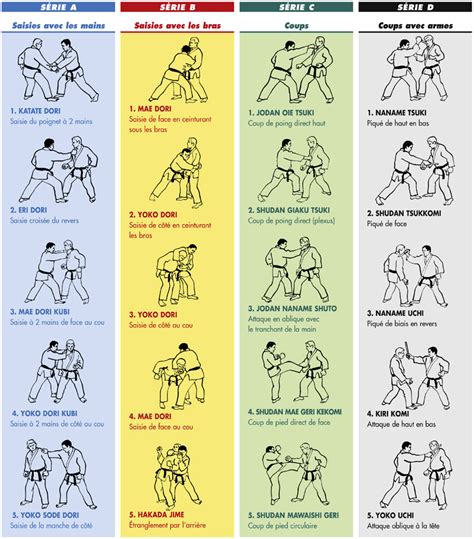 Les 20 Techniques Imposées Alliance Jiu Jitsu
