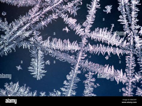 Frost Crystals Form Patterns On A Window Pane Stock Photo Alamy