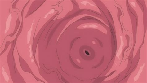Otome Dori Animated 14 X Ray Anime S Luscious